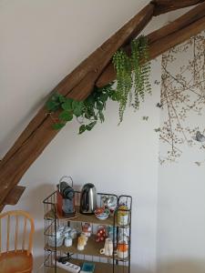 une étagère avec une bouilloire et des plantes au plafond dans l'établissement Gîte Le Nid aux Papillons, à Palinges