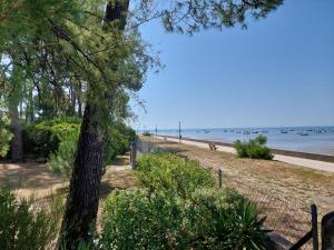 un chien marchant le long d'une plage avec une clôture dans l'établissement sable gris maison d'architecte, à Andernos-les-Bains