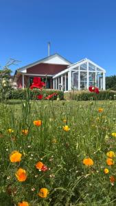 Zahrada ubytování Ferienhaus bei den Kreidefelsen - Ihr Zuhause auf Rügen