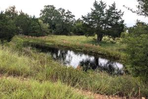 Φυσικό τοπίο κοντά σε αυτή η παραθεριστική κατοικία