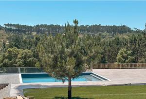 La alberca dentro o cerca de Mar Puro