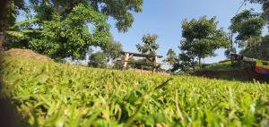 Vườn quanh Sipi Backpackers