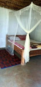 Giường trong phòng chung tại Sipi Backpackers