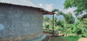 Vườn quanh Sipi Backpackers