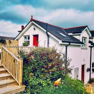 a white house with a red door and a flowering bush at The Snug, Mayobridge in Newry