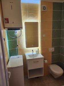 a small bathroom with a sink and a toilet at Sunny Apartment in Prijevor +7 photos