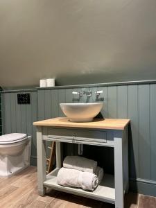 チッペナムにあるCharming one bedroomed pied a terre in rural locationsの洗面台とトイレ付きのバスルーム