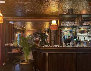 a bar with a plant in front of it at Maison Hans in Loenen aan de Vecht