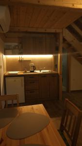 a kitchen with a sink and a table in a room at Lake house Amur in Kočevje