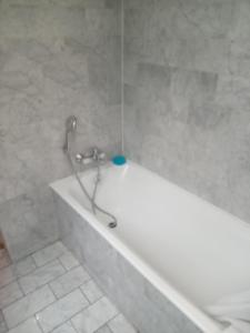 a bathroom with a bath tub with a shower at Hotel Modern Est in Paris