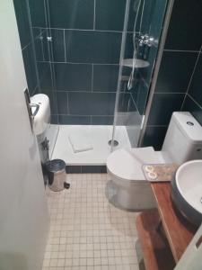 a bathroom with a toilet and a shower and a sink at Hotel Modern Est in Paris