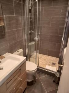 a bathroom with a shower and a toilet at Hotel Modern Est in Paris