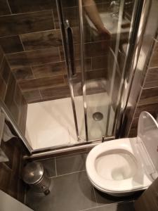 a bathroom with a toilet and a shower at Hotel Modern Est in Paris
