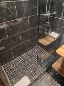 a bathroom with a shower with black tiles at Hotel Modern Est in Paris
