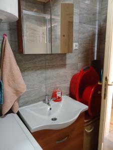 a bathroom with a sink and a mirror at Vikendica Izvor in Podgorica +22 photos