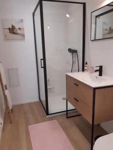 a bathroom with a shower with a sink and a mirror at La Dunette, un nid douillet entre mer et campagne in Carolles