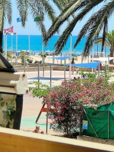 Una vista de una playa con palmeras y el océano en Avenida Mediterráneo, en Puerto Sagunto