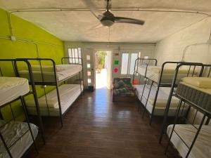 a room with several bunk beds and a ceiling fan at Hakuna Matata in El Campello