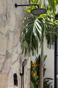 a stone wall with a microphone next to a palm tree at Villa Tofino Premium by Tofino Villas in Uluwatu
