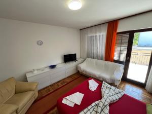 un salon avec un canapé et une télévision dans l'établissement Apartman Ramiza, à Jadranovo