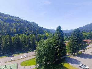 an aerial view of a parking lot with trees at Le 408 des pistes in La Bresse