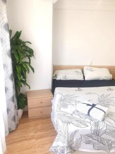 サンタ・ポラにあるMarDeSantaPolaのベッドと鉢植えのある寝室