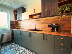 a kitchen with a sink and a wooden wall at spazio in Knjazevac.