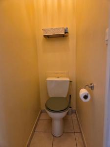 a bathroom with a toilet with a green seat at Appartement terrasse, piscines, wi-fi, résidence face mer in Les Sables-dʼOlonne