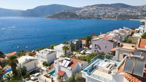 Φυσικό τοπίο κοντά σε αυτό το διαμέρισμα