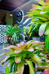 Vườn quanh The Nature House Aonang Krabi Thailand