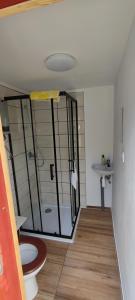 a bathroom with a shower and a toilet at Chatky Dolní Bušínov 