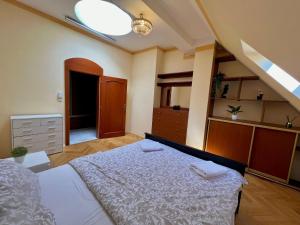 Posteľ alebo postele v izbe v ubytovaní Comfortable 3 Bedroom apartment in the Heart of Prague