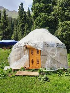a yurt with a wooden door in a field at Горное гнездо и юрты in Mineralʼnyy Istochnik Altyn-Arasan