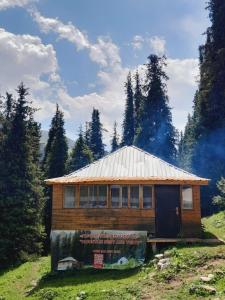 a wooden house with a tin roof on a hill at Горное гнездо и юрты in Mineralʼnyy Istochnik Altyn-Arasan