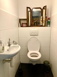 a bathroom with a sink and a toilet and a mirror at Ruim vakantie huis Marke Lemselo in de rust en natuur in Weerselo +9 photos