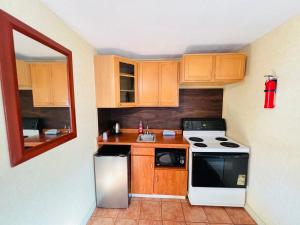 a small kitchen with a stove and a sink at Bestway Motel in Windsor