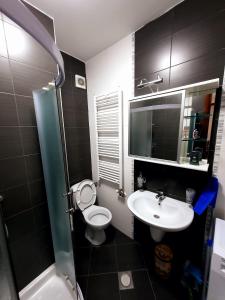 a bathroom with a sink and a toilet and a mirror at AnyBL01 in Banja Luka