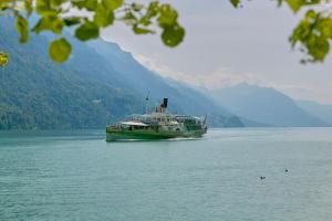 a boat on the water with mountains in the background at Studio 102 - Riverside in Interlaken