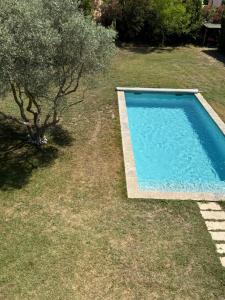 a swimming pool in a yard with a tree at Studio climatisé en Provence avec piscine in La Barben