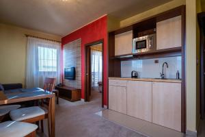Η κουζίνα ή μικρή κουζίνα στο JOINTATRY SK - one and two bedroom apartments