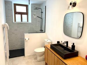 ein Badezimmer mit Waschbecken, Toilette und Spiegel in der Unterkunft Maison Palomase en plein cœur de Sancerre in Sancerre
