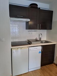 a kitchen with a sink and a white dishwasher at La Merlerie Super-Besse agréable appartement 5p grand balcon parking privé in Besse-et-Saint-Anastaise +13 photos