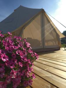 Zahrada ubytování Kiideva Glamping
