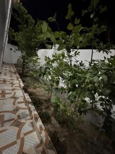 Gallery image of Om villa retreat in Faigul +28 photos