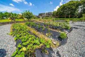墨藝民宿室外花園