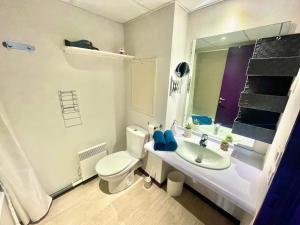 ルルドにある" Escale Closeraie " Balcon - Parking - 4 personnesの白いトイレと洗面台のあるバスルーム +16枚の写真