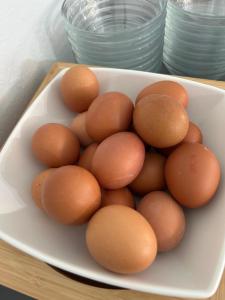 a white bowl of brown eggs on a table at Aliston Hotel Thassos in Skala Potamias