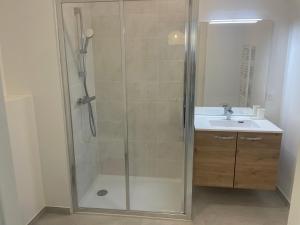 un baño con ducha y lavabo en Le Rossignol, en Annecy