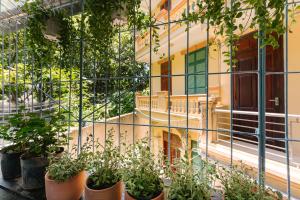 Zahrada ubytování Authentic Old Quarter-Free Breakfast-Netflix & Balcony