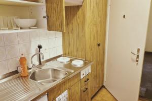 eine Küche mit Spüle und Arbeitsplatte in der Unterkunft City Center Flats with Balcony & Garden View Rigi - Self Checkin in Zürich